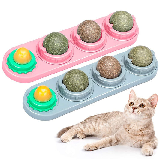 Catnip Wall Ball Toys for Cats LEGITASY